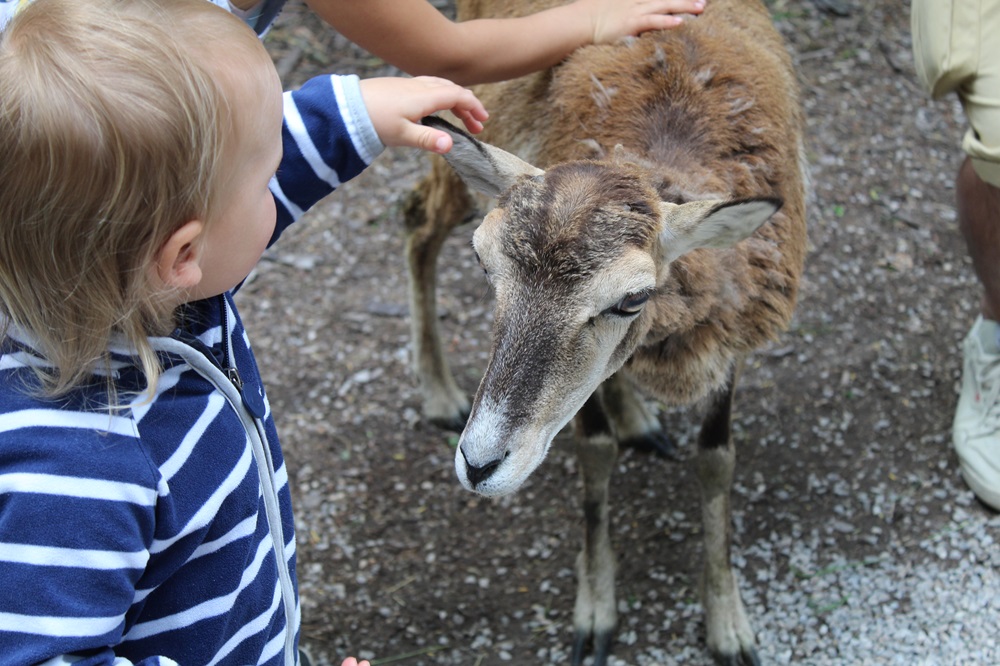 Tagesheim Kindergarten Betreuung Kinder